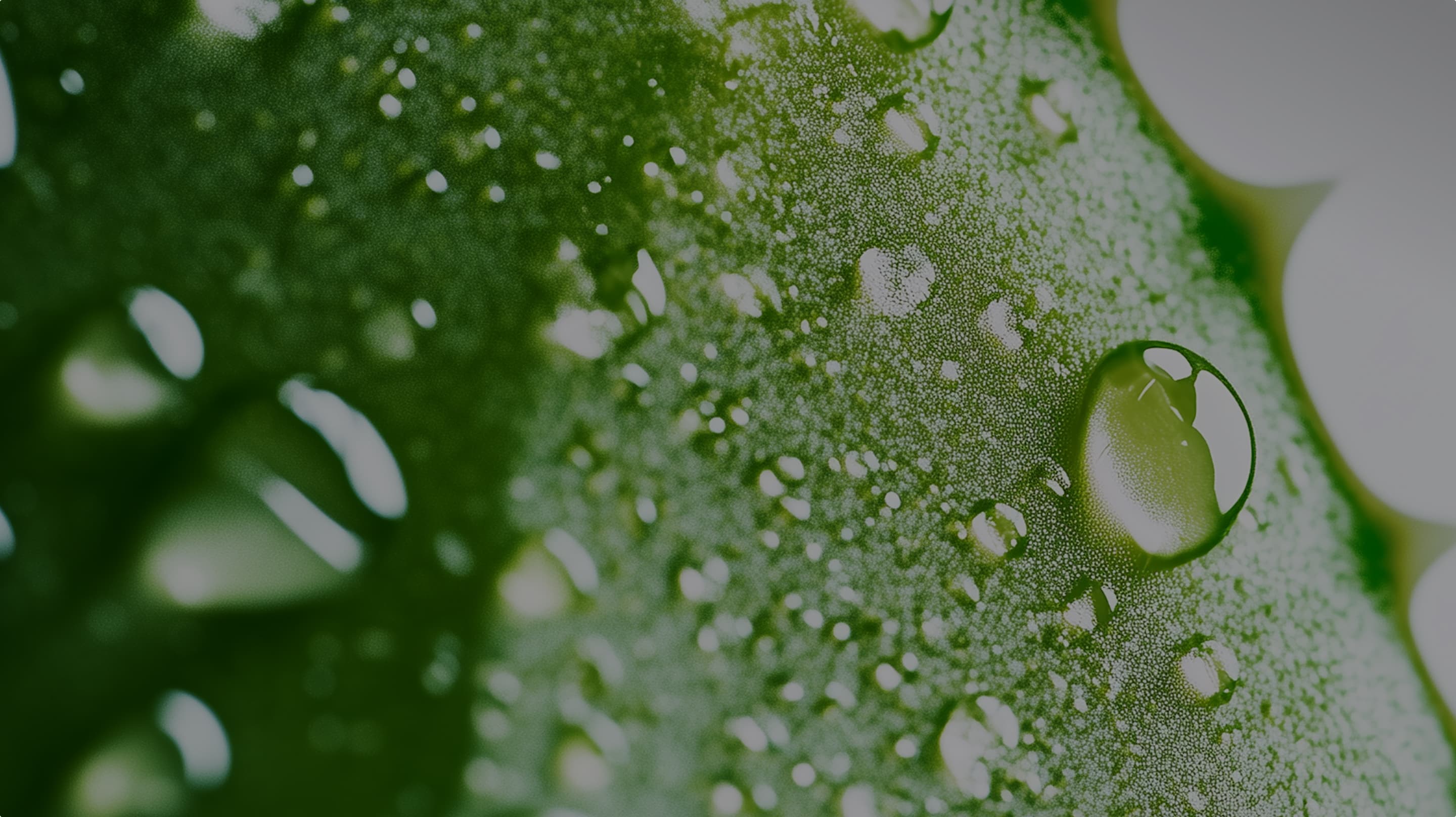 Бестселери