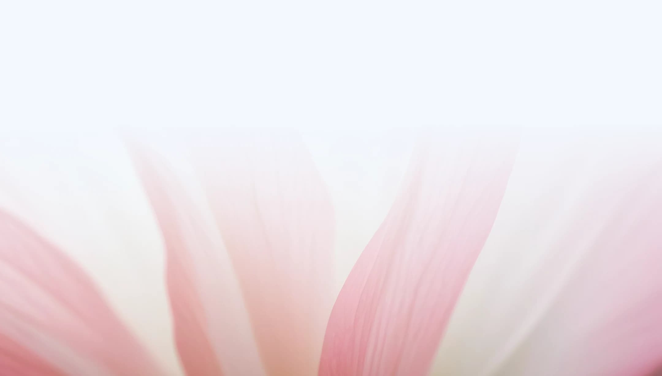 Summer Registration Background